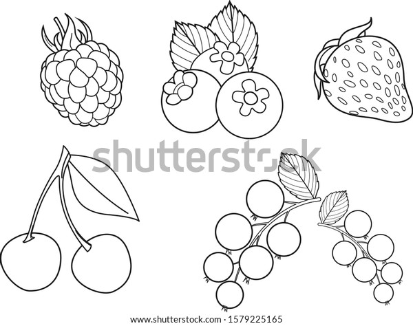 Coloring Page Set Vector Berries Including Stock Vector Royalty Free 1579225165