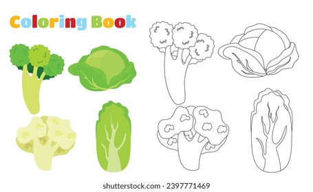 Coloring page. Set of vegetables cabbage, broccoli, cauliflower and Chinese cabbage.