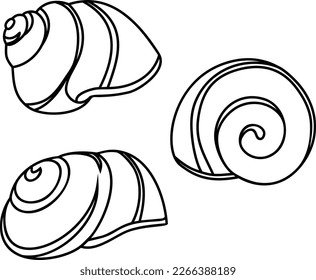 Página de color con caparazón de caracol blanco (Cepaea hortensis)	