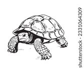 coloring page simple black and white A turtle