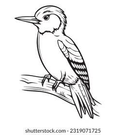 Coloring page simple black and white cute woodpecker vector design