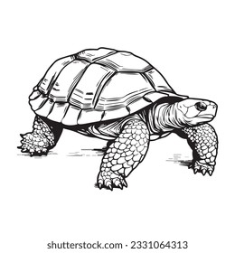 coloring page simple black and white A turtle