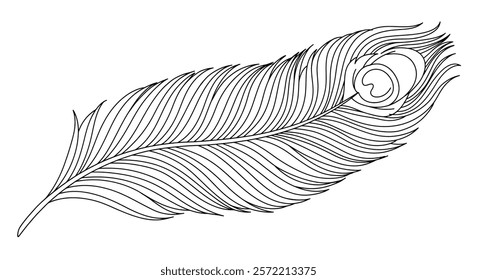 A coloring page with a single stylized peacock feather. The feather should have a central eye-like pattern and sections containing simple shapes.