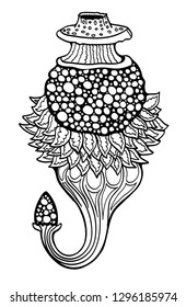 Coloring page. Siphonophora. Jellyfish