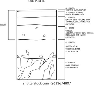 Coloring page with soil profile. Scheme of a cross section of a soil, revealing horizons with titles