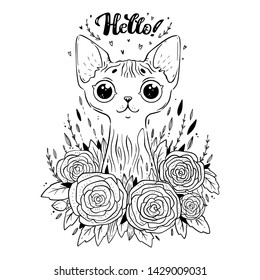 Coloring page with sphynx cat with roses flowers and lettering Hello. Cats with open eyes. Coloring book for adults and children. Outline coloring page.