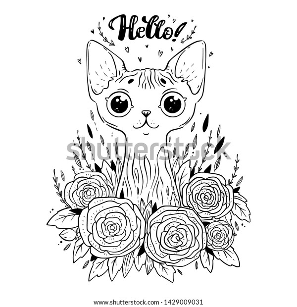 880 Hairless Cat Coloring Pages Download Free Images 880 Hairless Cat Coloring Pages Download Free Images