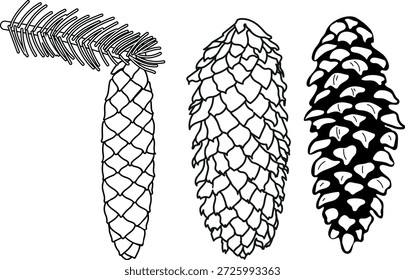 Página de coloração com cones de abeto em um fundo branco