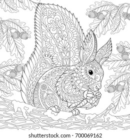 Coloring page of squirrel sitting on oak tree branch and eating pine cone. Freehand sketch drawing for adult antistress coloring book in zentangle style.