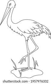 Coloring page the stork stands on its foot