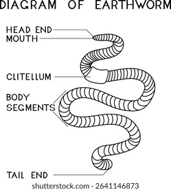 Coloring page with structure of earthworm for biology lesson	