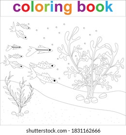 Coloring page template with several cartoon fish and algae. For children coloring sea life. Vector  EPS 10