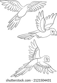 Coloring page. Three cute parrots red macaw fly and smile.