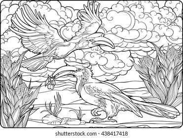Coloring page with two hornbills and clouds.