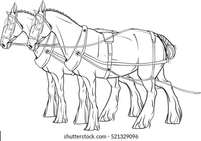 Coloring Page. Two horses in harness
