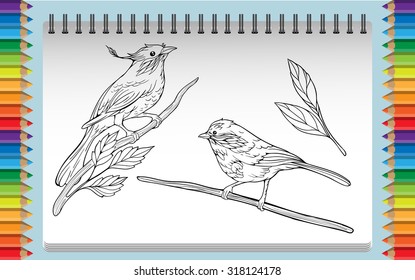 coloring page with two isolated birds on branches