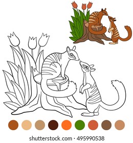 Coloring page. Two little cute numbats look at each other and smile.