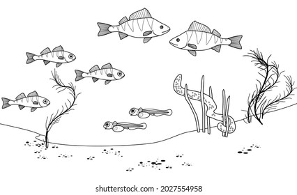 Coloring Page Underwater Pond Landscape Perches Stock Vector (Royalty ...