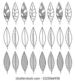 Coloring page with varied leaves. Coloring book for adult and older children. Editable vector illustration. Hand drawn black floral ornaments on the white background. Set collection for relaxing.