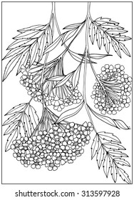 Coloring page with vintage flowers pattern