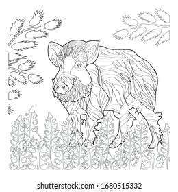 Coloring page with wild boar