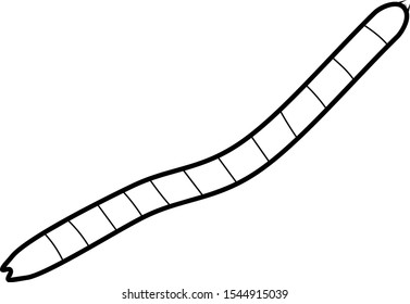 Coloring page. Wireworm (larva of Click beetle) isolated on white background