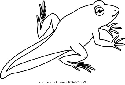 Coloring page. Young frog with tail