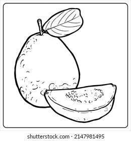 Coloring page_Herbal_Punica Granatum Medicinal plant series coloring book