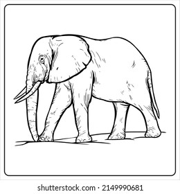 Coloring page_Wild Animal_Elephant
Wild animal series coloring book