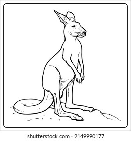 Coloring page_Wild Animal_Kangaroo Wild animal series coloring book