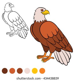 Coloring page.Cute bald eagle sits and smiles.