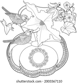 Coloring Pages for adults and children. Colouring pictures with birds and small house. Linear engraved art. Antistress freehand sketch drawing with doodle and zentangle elements.