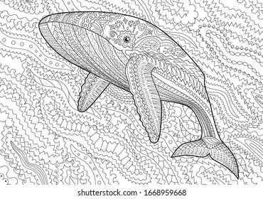 Coloring pages for adults with humpback whale for anti-stress coloring book with high details, isolated on pattern background, illustration in zentangle style. Vector