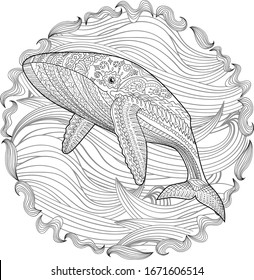 Coloring pages for adults with humpback whale for anti-stress coloring book with high details, isolated on pattern background, illustration in zentangle style. Vector