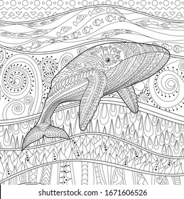 Coloring pages for adults with humpback whale for anti-stress coloring book with high details, isolated on pattern background, illustration in zentangle style. Vector