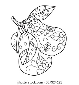 Coloring pages for adults.Decorative hand drawn doodle engraving pear vector sketchy pattern.