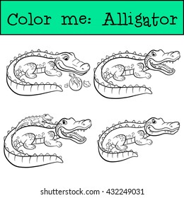 Coloring pages. Alligators. Four little cute alligators with baby alligators.