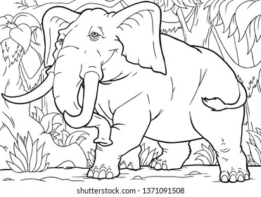 Coloring pages. Animals. Cute elephant stands in the forest and smiles.
