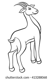 Coloring pages. Animals. Little cute antelope stands and smiles.