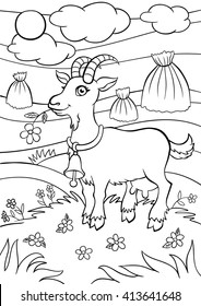 Coloring pages. Animals. Little cute goat stands on the field and holds a flower in the mouth.