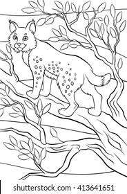 Coloring pages. Animals. Little cute lynx stands and smiles.