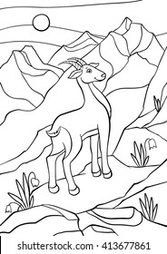 Coloring pages. Animals. Little cute antelope stands on the rocks and smiles.