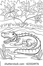 Coloring pages. Animals. Little cute alligator sits in the lake and smiles.