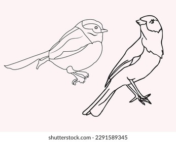 Coloring pages with beautiful bird vector illustration. This is an editable and printable vector eps file.