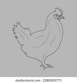 Coloring pages with beautiful hen vector illustration, Chicken line drawing for children. This is an editable and printable eps vector file.