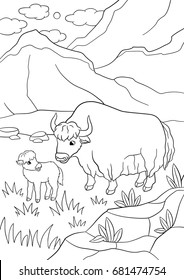 Coloring pages. Beautiful yak with little cute baby yak.