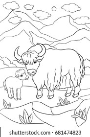 Coloring pages. Beautiful yak with little cute baby yak.