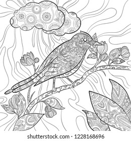 Coloring pages bird. Wild flying animal in sitting on branch vector nature floral pattern line illustrations