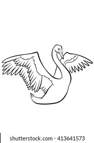 Coloring pages. Birds. Cute beautiful swan with wonderful wings.