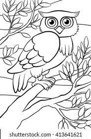 Coloring pages. Birds. Cute owl sits on the tree.